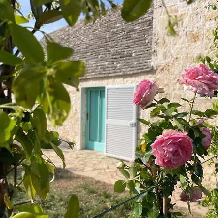 Giardino Dei Trulli Cummerse Faccia di Trippa di Monte